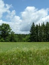 Wisconsin Pasture in Summer