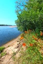 Wisconsin River Landscape Portage Royalty Free Stock Photo