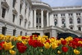 Wisconsin State Capitol building, hystorical landmark. Royalty Free Stock Photo