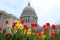 Wisconsin State Capitol building Royalty Free Stock Photo