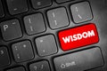 Wisdom - ability to contemplate and act using knowledge, experience, understanding, common sense and insight, text button on