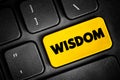 Wisdom - ability to contemplate and act using knowledge, experience, understanding, common sense and insight, text button on