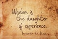 Wisdom is Leonardo Royalty Free Stock Photo