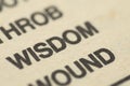 Wisdom is the quality of having sound judgment and understanding. It involves knowledge, experience, and the ability to apply that Royalty Free Stock Photo