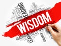 Wisdom word cloud collage, education concept Royalty Free Stock Photo