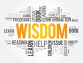 Wisdom word cloud collage, education concept Royalty Free Stock Photo