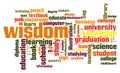 Wisdom word cloud