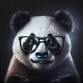 Wise animal with glasses. Portrait of a panda bear in glasses on a dark background