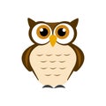 Wise brown owl on white background