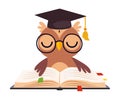 Wise Brown Owl in Graduation Cap, Cute Bird Cartoon Character Reading Book Vector Illustration