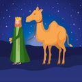 Wise king with camel manger characters