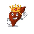 A Wise King of human cirrhosis liver mascot design style