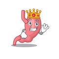 A Wise King of human stomatch mascot design style Royalty Free Stock Photo