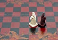 Wise old men Chinese chess pieces