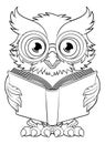 Wise Old Owl Cartoon Cute Character Reading Book Royalty Free Stock Photo