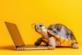Wise Old Tortoise with Silver Glasses Using Laptop in Bright Yellow Background Royalty Free Stock Photo