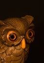 Wise Owl