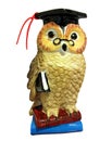 Wise owl with books