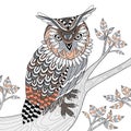 Wise owl Royalty Free Stock Photo