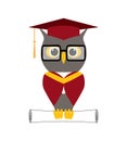 Wise owl in glasses, in a graduate hats, academic squares or student caps holds a certificate, paper roll, scroll