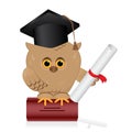 Wise owl sits on a book of knowledge.Bird with black graduate ha