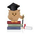 Wise owl sits on a book of knowledge, a stack of multi-colored c Royalty Free Stock Photo
