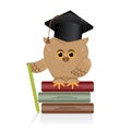 Wise owl sits on a book of knowledge, a stack of multi-colored c Royalty Free Stock Photo