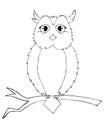 A wise owl sits on a branch. Contour work.