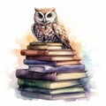 wise owl sits on a stack of books. concept Education at school,