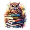 wise owl sits on a stack of books. concept Education at school,