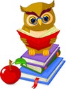 Wise Owl sitting on Pile book Royalty Free Stock Photo