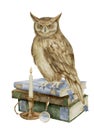 Wise Owl on a stack of books. Watercolor illustration of bird a symbol of wisdom and knowledge. Hand drawn clipart on Royalty Free Stock Photo