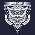 Wise Owl vector illustration Royalty Free Stock Photo