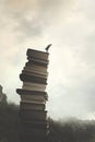 Wise and successful man looks down from the top of a surreal pile of books Royalty Free Stock Photo