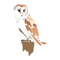 A wise, sweet, pretty owl stands on a stump on a white background.Vector illustration