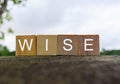 Wise text on wooden block on top of big stone with blurred tree and sky background