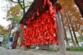 Wish cards. Small Wild Goose Pagoda. Xi'An. China