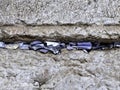 Wish notes at the Holy Western Wall