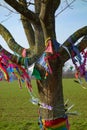 Wish tree branches with colorful ribbons Royalty Free Stock Photo