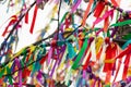 Wish Tree branches with colorful ribbons Royalty Free Stock Photo