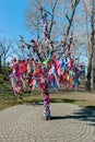 Wish tree with colored ribbons