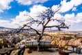 Wish tree in Rose valley on Goreme national park.  Cappadocia, Turkey, Asia. Royalty Free Stock Photo