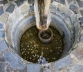 The wish well with a few coins Royalty Free Stock Photo