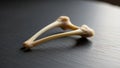 A wishbone furcula rests on a smooth, dark surface. It features tw Royalty Free Stock Photo