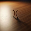 The wishbone s delicate structure is emphasized by the contr Royalty Free Stock Photo