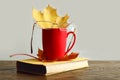 Wishes for a cozy autumn for the elderly: a red mug with hot tea with a yellow autumn leaf, glasses on it, stands on a book on a