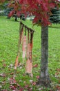 Wishing Tree and inspirational messages