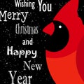 Wishing you Merry Christmas and Happy New Year card. Red cardinal on black background Royalty Free Stock Photo