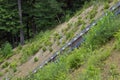 Wisla, Poland,28 June 2019: The Adam Malysz ski jumping hill in