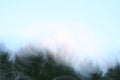 Wispy Background I